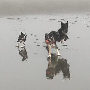 Meet your Posher, Jackie